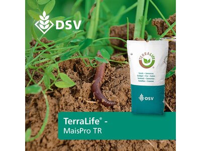 TerraLife® - MAÏS PRO DT-0