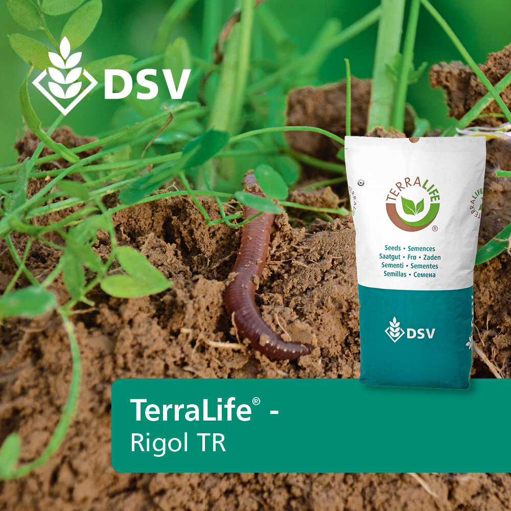 TerraLife® - Rigol DT-0