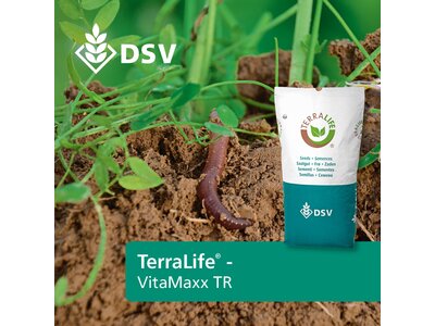 TerraLife® - VITAMAXX DT-0