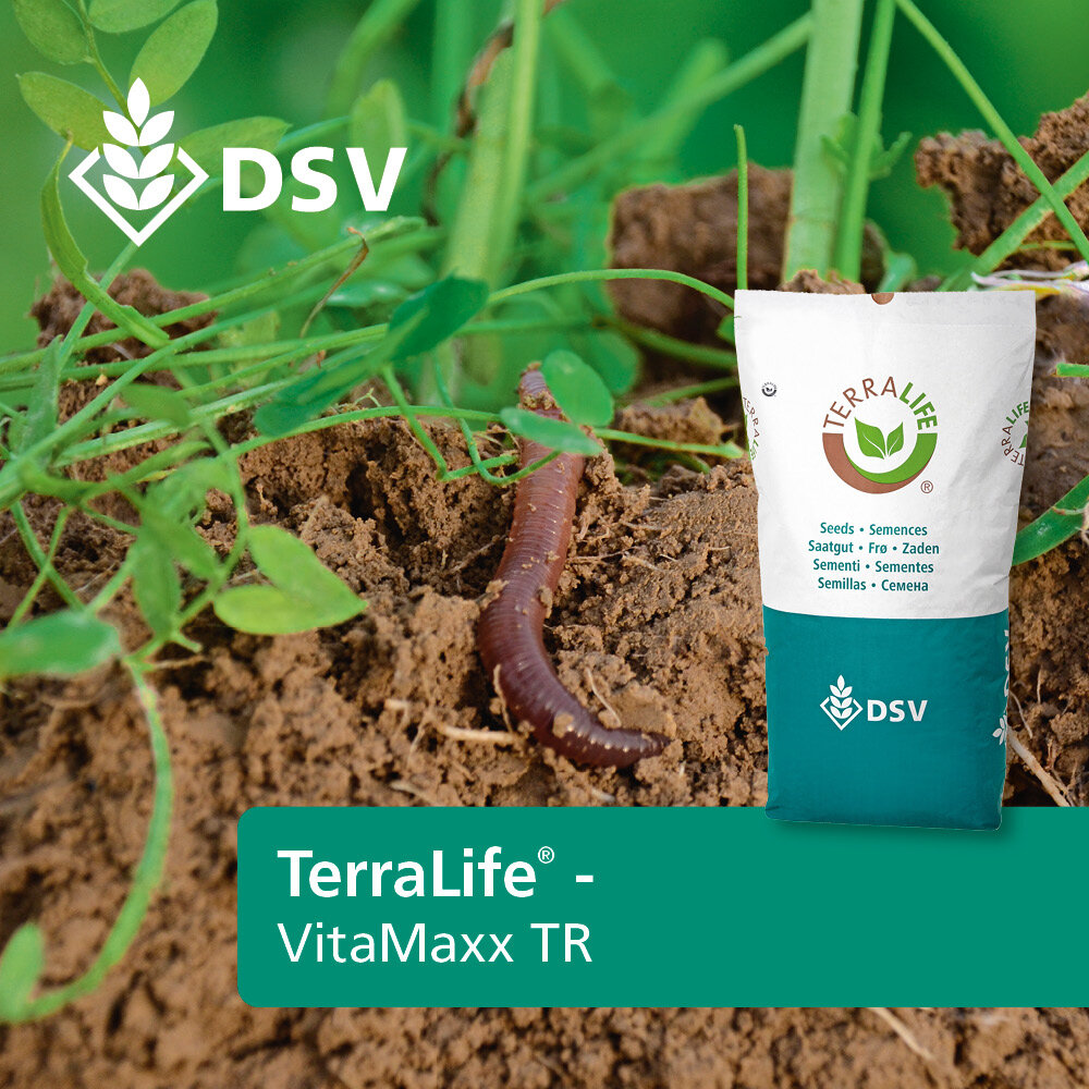 TerraLife® - VITAMAXX DT-0