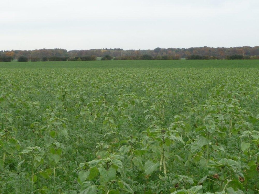 TerraLife® - AquaPro-3