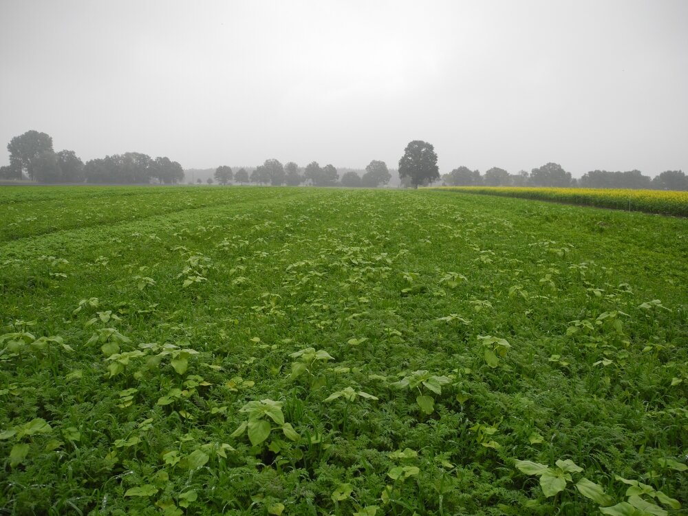 TerraLife® - AquaPro-4