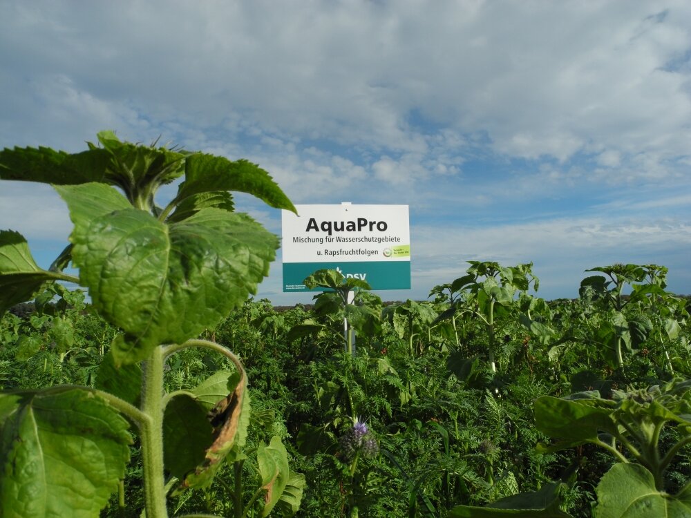 TerraLife® - AquaPro-5