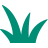 altText.iconFuer Graminées fourragères 